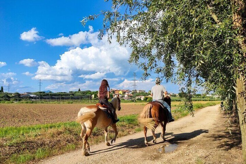 Horseback Riding with Wine and Food Tasting in Lazise Countryside