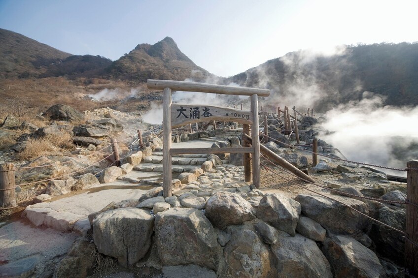 Hakone Adventure Tour (With English or Japanese Speaking Guide)