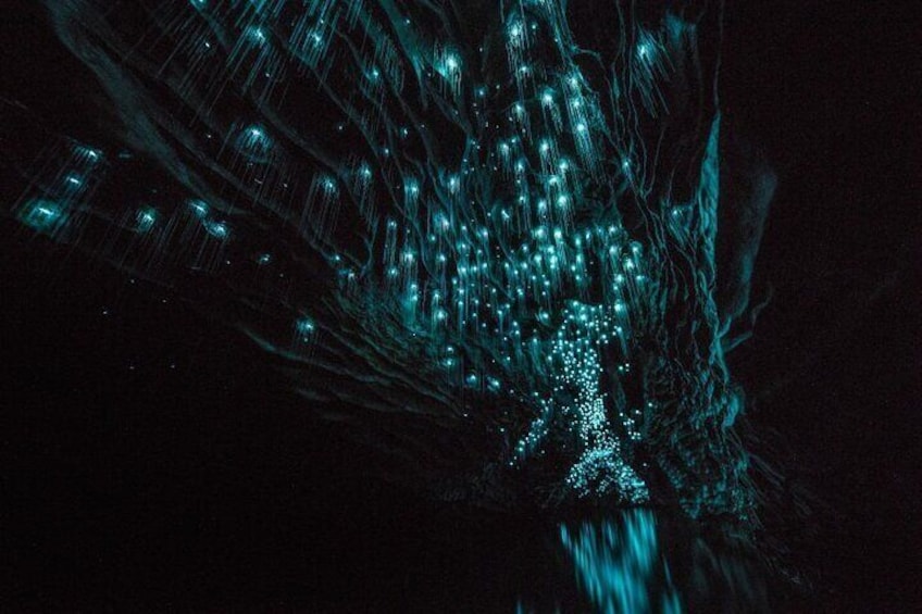 Waitomo Glowworm Caves