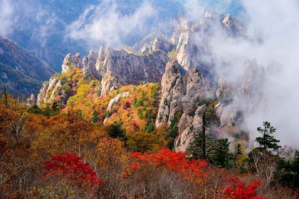 Seoul: Mt. Seorak National Park Autumn Foliage One Day Tour