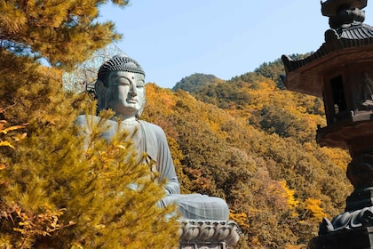 โซล: ทัวร์ชมใบไม้เปลี่ยนสีที่อุทยานแห่งชาติซอรัคซาน