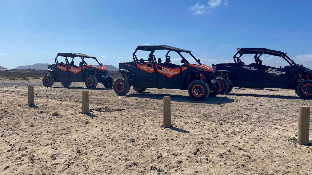 Picture 8 for Activity Buggy 4 pazas Corralejo Fuerteventura