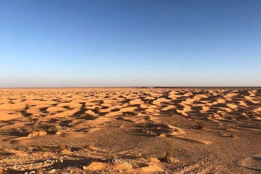 Night excursion to the desert and Berber village from Djerba 