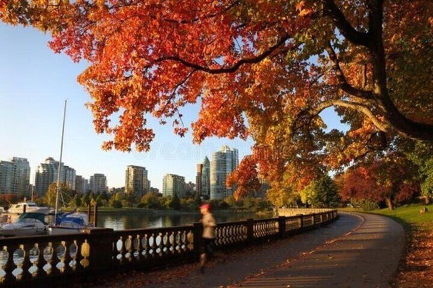 Vancouver : Must-See Attractions Walking Tour With A Guide