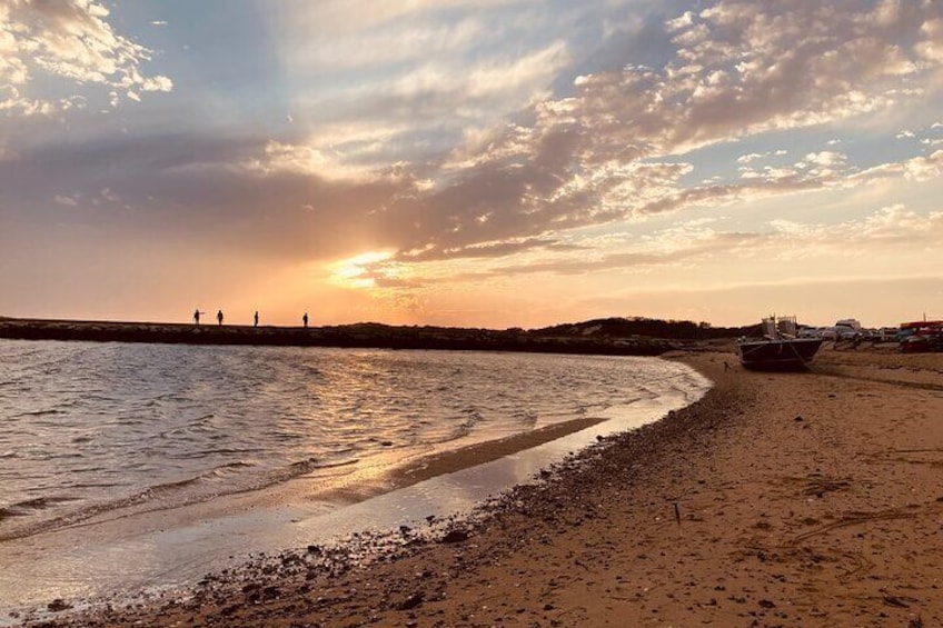 The Outer Cape Tasting Tour
