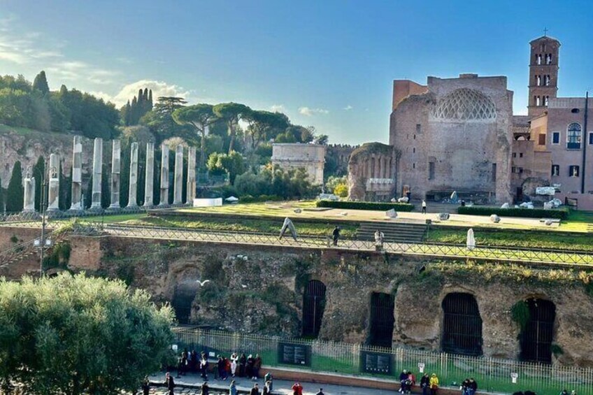 View to the Forum & palatine