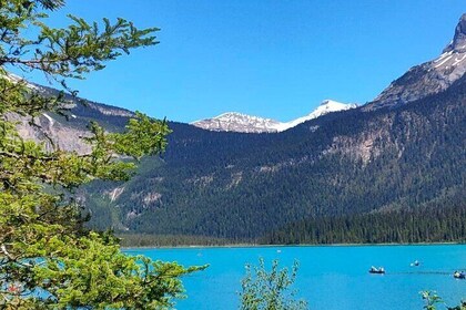 1 Day tour of Canmore Lake Louise, Moraine Lake and Emerald Lake