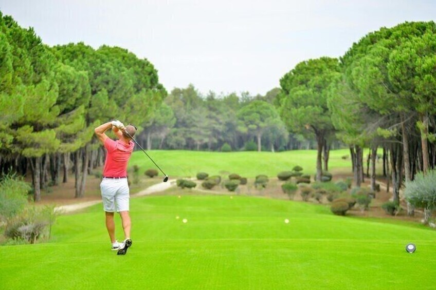 Private Professional Golfing experience in Pinehurst