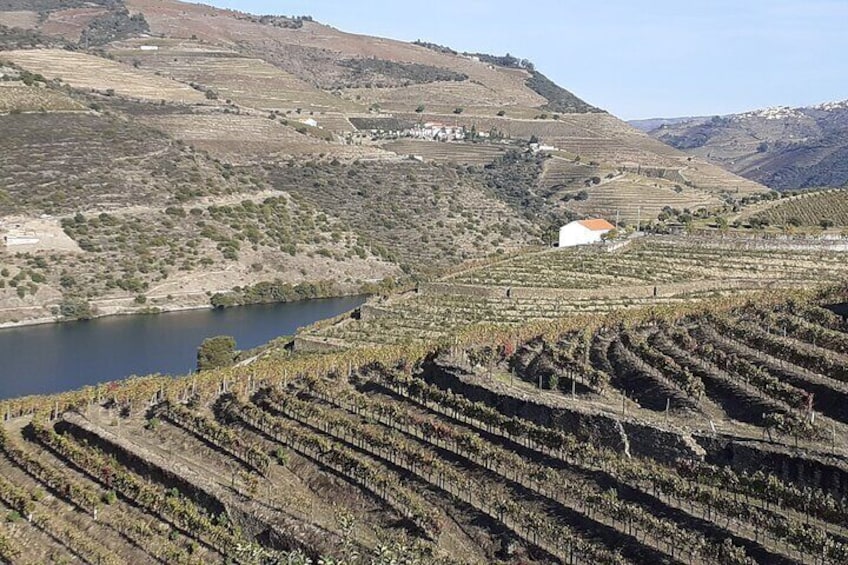 Winter in the Douro