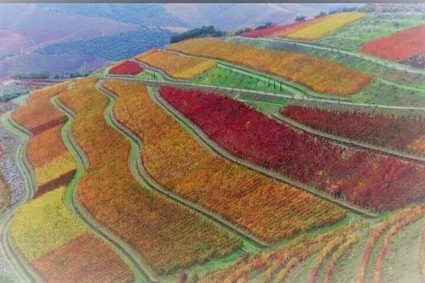 Douro Valley Autumn