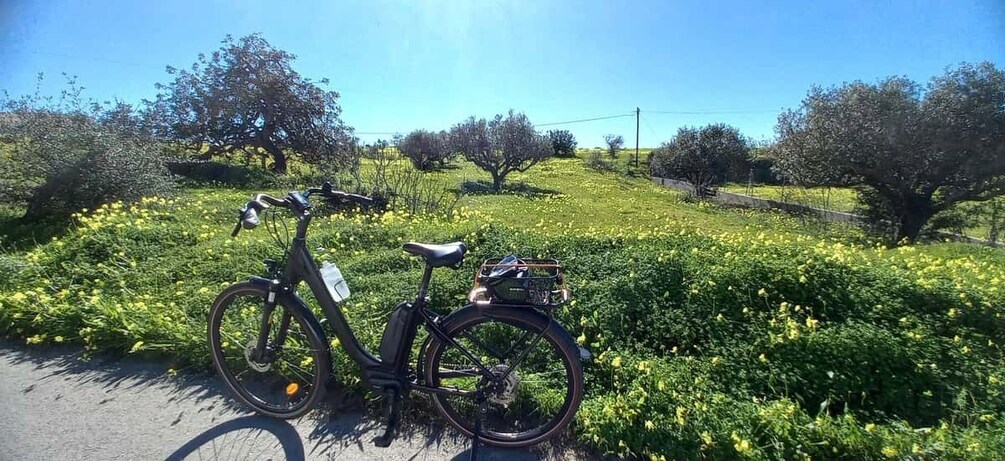 Picture 5 for Activity City E-Bike Tour - Albufeira West Beaches!