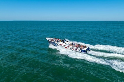 Sea Rocket Speedboat & Intracoastal Cruise in Fort Lauderdale, FL