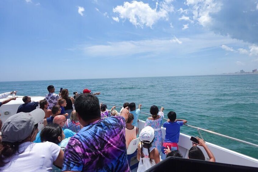 Sea Rocket Speed Boat Cruise in Fort Lauderdale