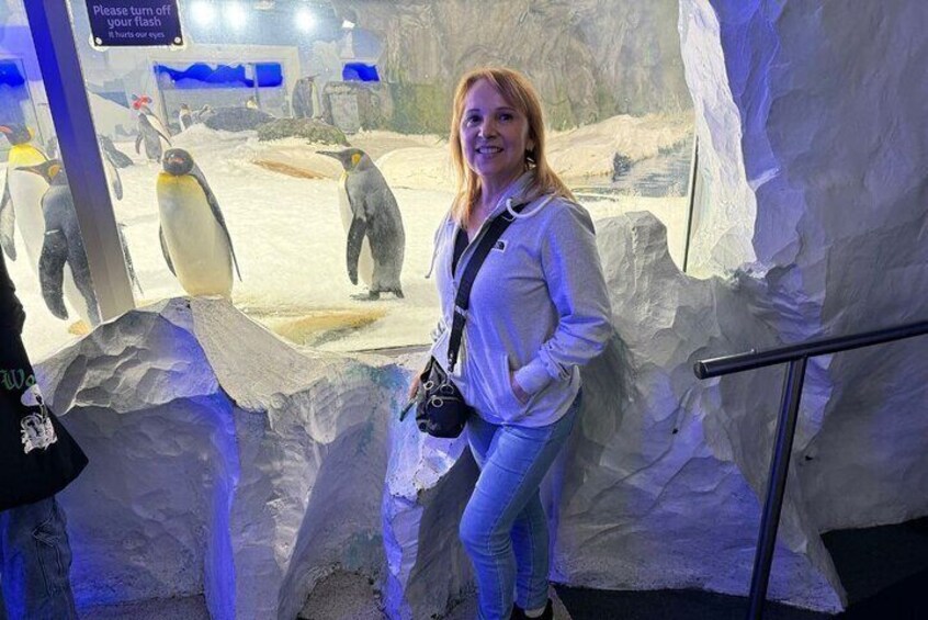 Kelly Tarlton's Aquarium
