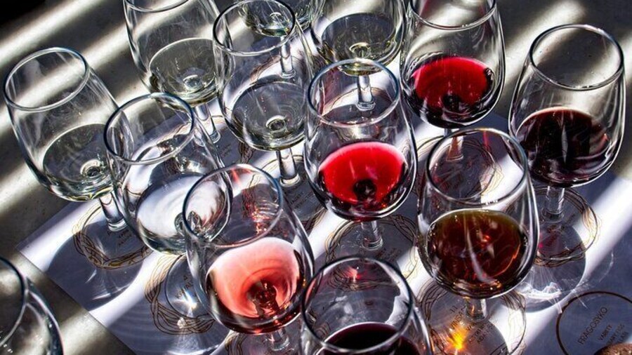 Private Etyek Wine Tour & Danube Evening Cruise from Budapest