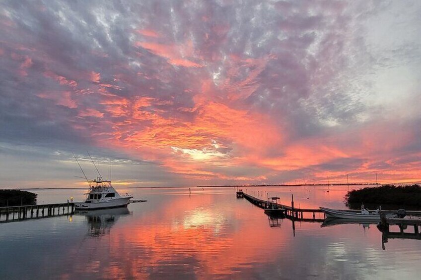 Sunrise Serenade Early Birding and Dolphin Watch Cruise