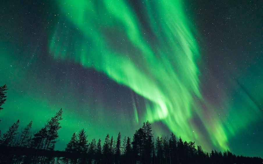 Picture 3 for Activity Rovaniemi: Aurora Hunt with Photos and Money Back Guarantee