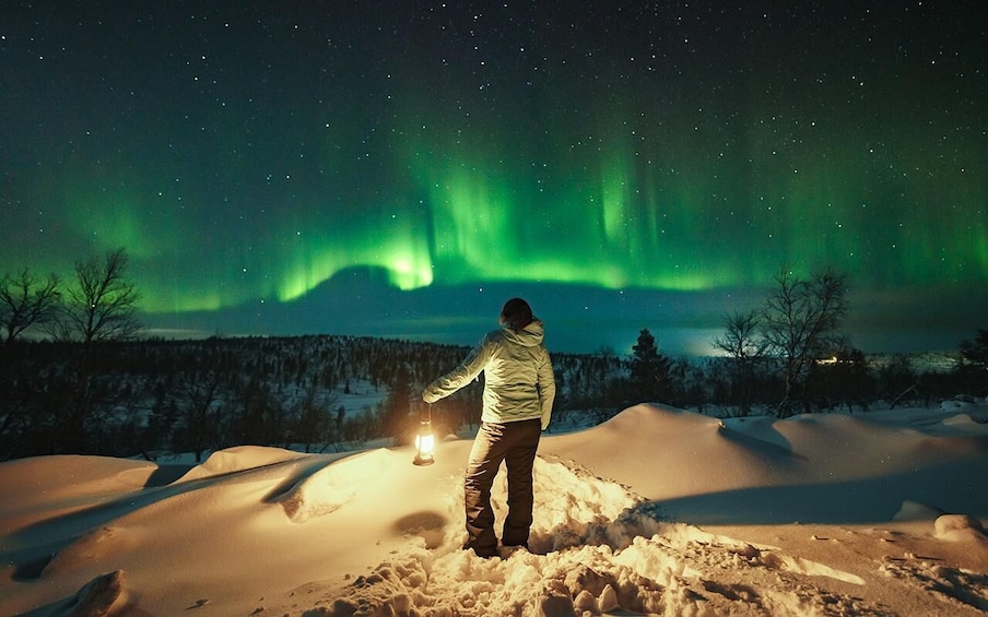 Picture 1 for Activity Rovaniemi: Aurora Hunt with Photos and Money Back Guarantee