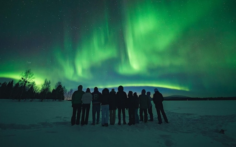 Rovaniemi: Aurora Hunt with Photos and Money Back Guarantee