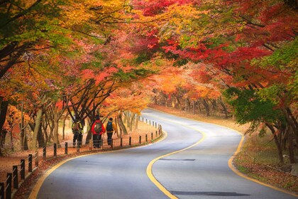 首爾：內藏山國家公園秋葉日遊覽