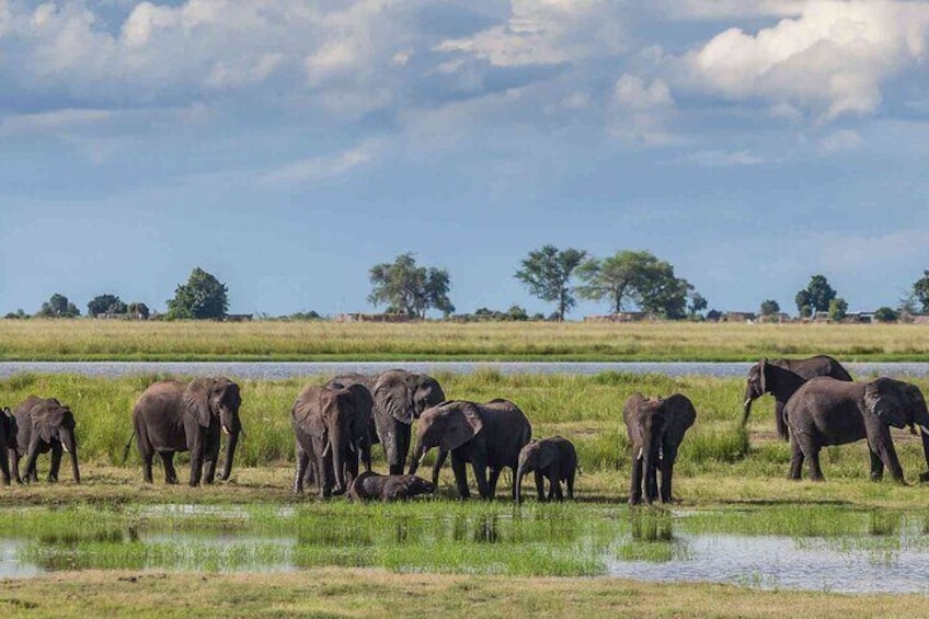 3 Days Unforgettable Masai Mara Safari Tour 