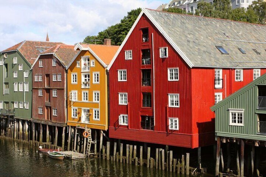 3 Hour Private Guided Walking Tour in Trondheim