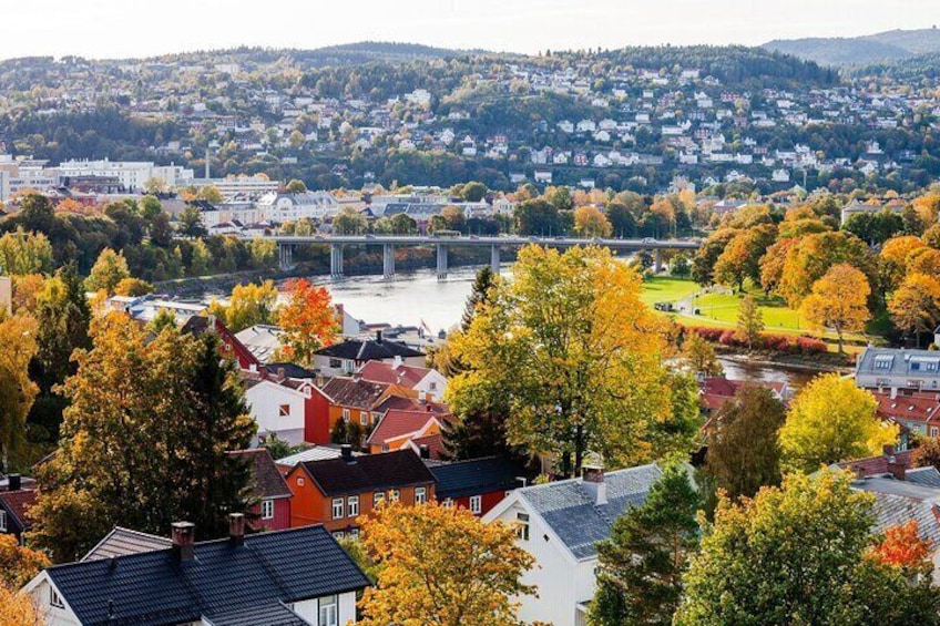 3 Hour Private Guided Walking Tour in Trondheim