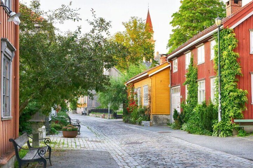 3 Hour Private Guided Walking Tour in Trondheim