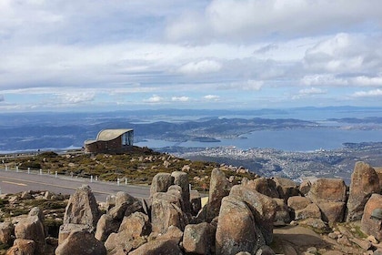 Mount Wellington Pinnacle 2 Hours Small Group Tour