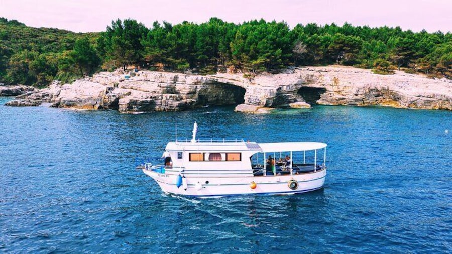 Private Brijuni Day Cruise with Dinner and Drinks