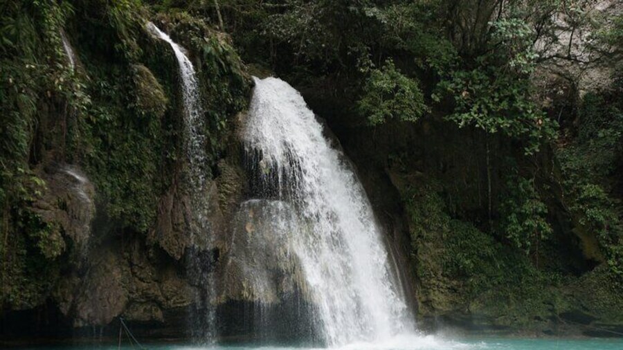 Kawasan Canyoneering and Snorkeling with Sardines with Lunch