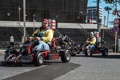 Osaka Castle 90min Go Karting Tour