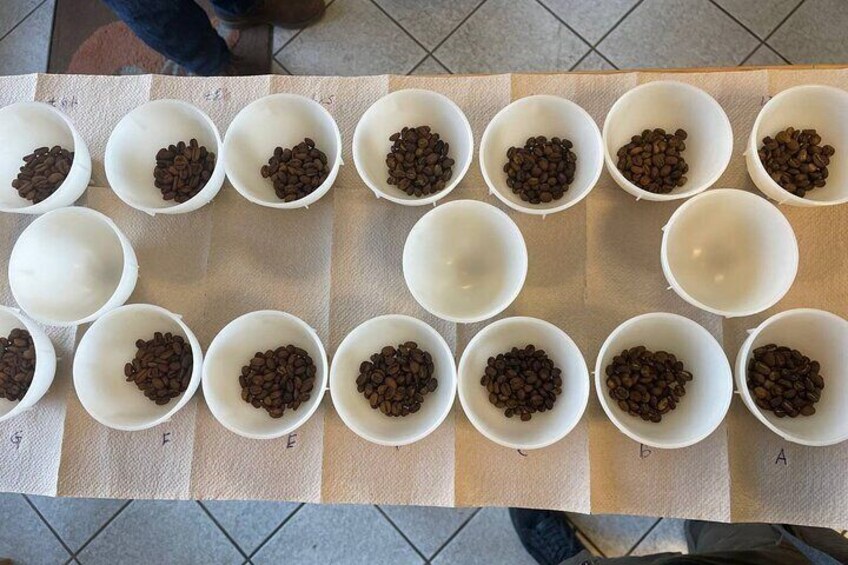 2-Hour Specialty Coffee tasting in Ljubljana