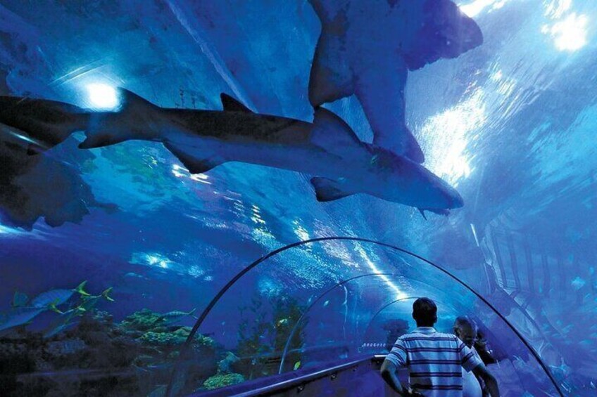 Malaysia Aquaria KLCC Admission E Ticket