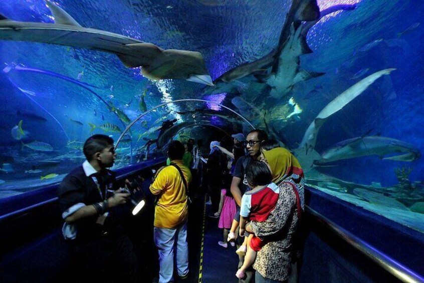 Malaysia Aquaria KLCC Admission E Ticket