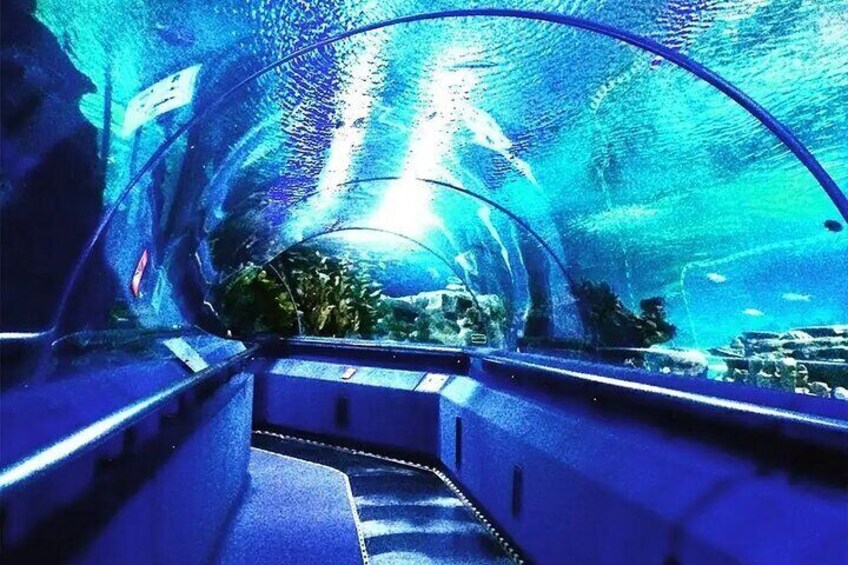 Malaysia Aquaria KLCC Admission E Ticket