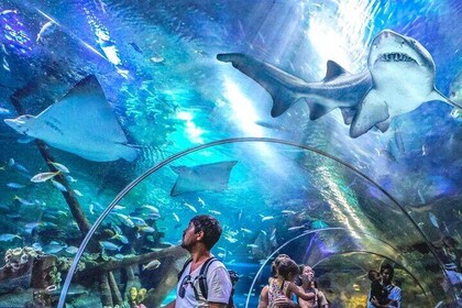 Malaysia: Aquaria KLCC Admission E-Ticket