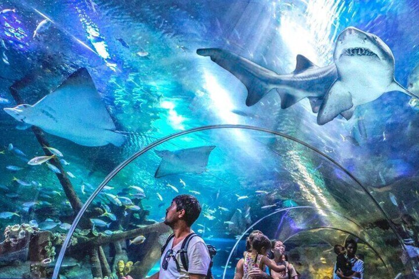 Malaysia Aquaria KLCC Admission E Ticket