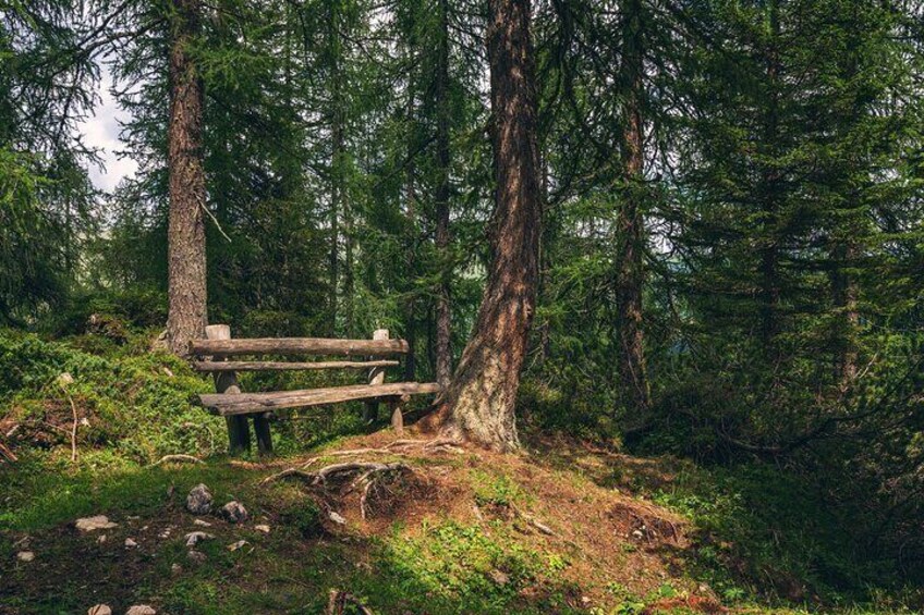 Private Hiking Tour to the Three Peaks, Lake Misurina and Braies