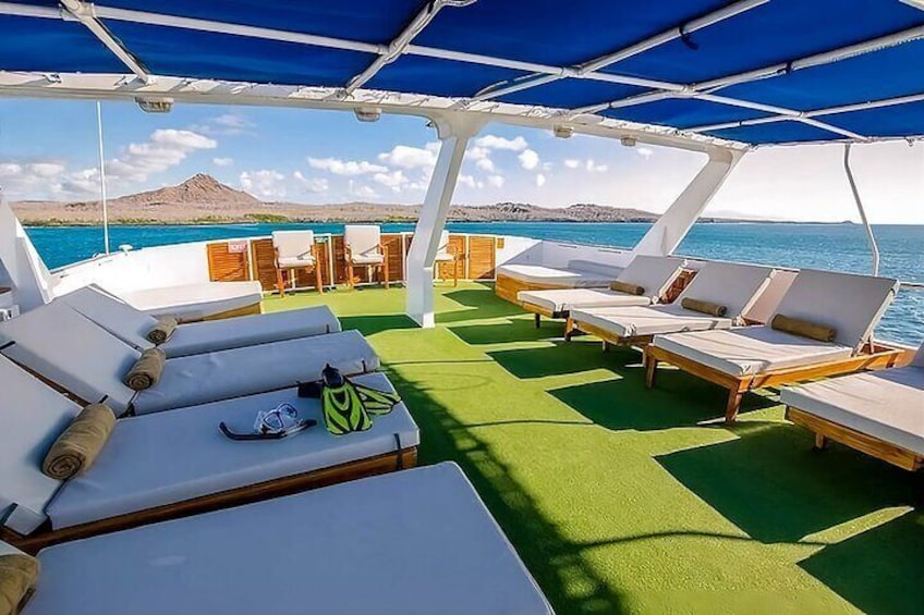 Sun Deck