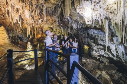Ngilgi Cave Semi-guided Tour