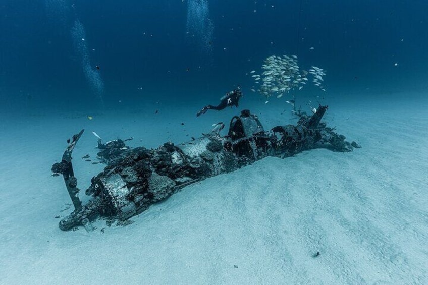 Certified Scuba Diving Experience in Honolulu