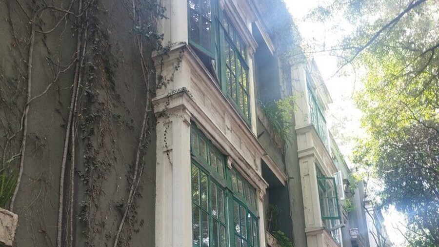 Private guided walking tour in La Condesa neighborhood with transportation