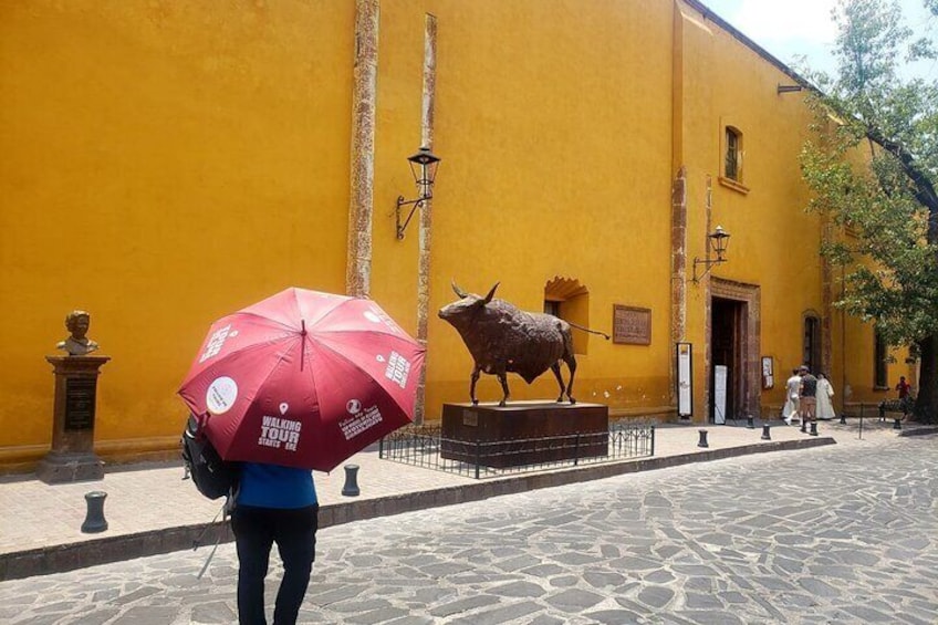 San Miguel de Allende The Express