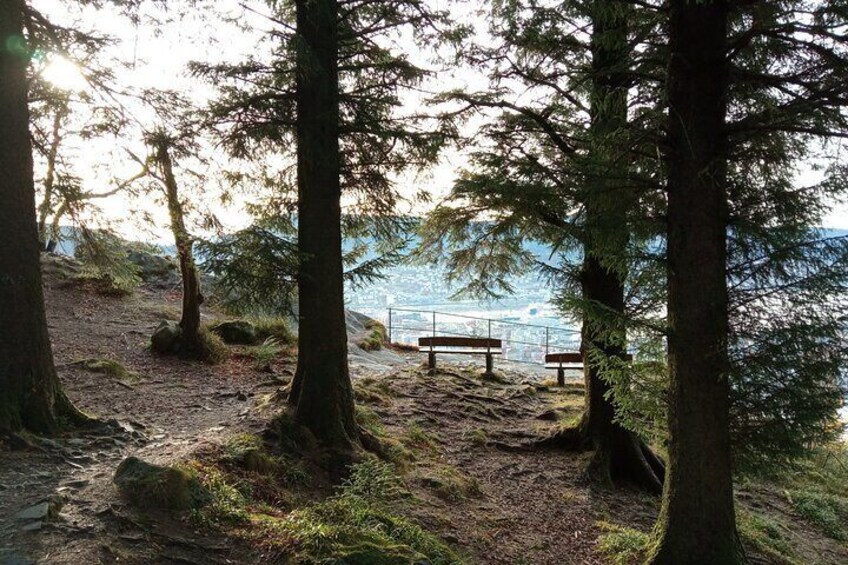 Self-Guided Hike from Bergen's Fish Market up Mount Fløyen