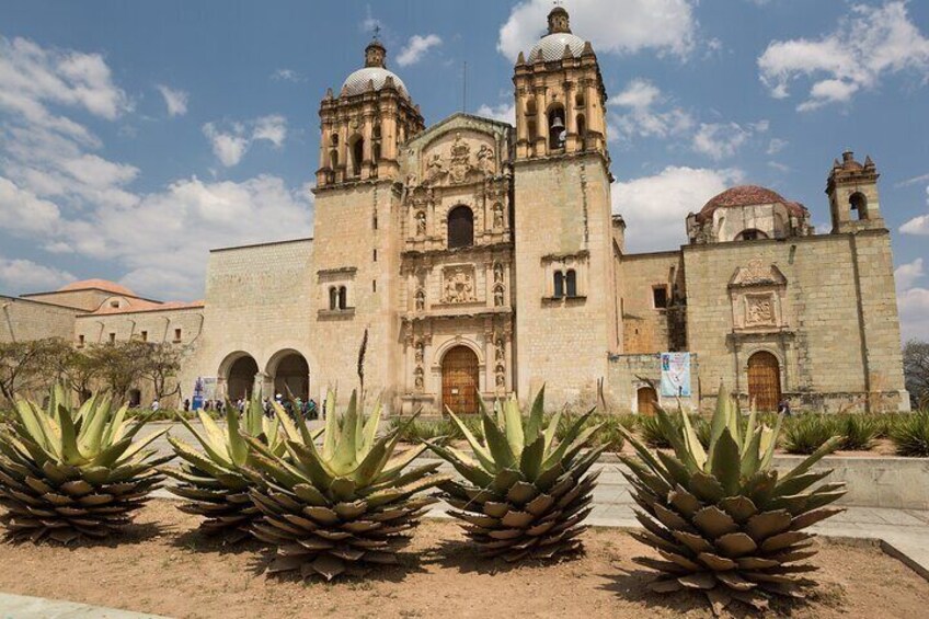 Private VIP Tour Oaxaca 