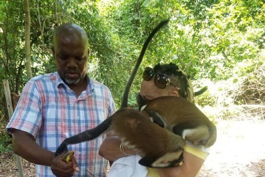 Touring the Taffi Monkey Sanctuary in the Volta Region of Ghana.