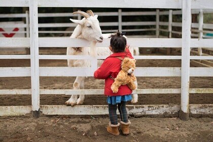 Educational Farm Adventure Tour on Bainbridge Island