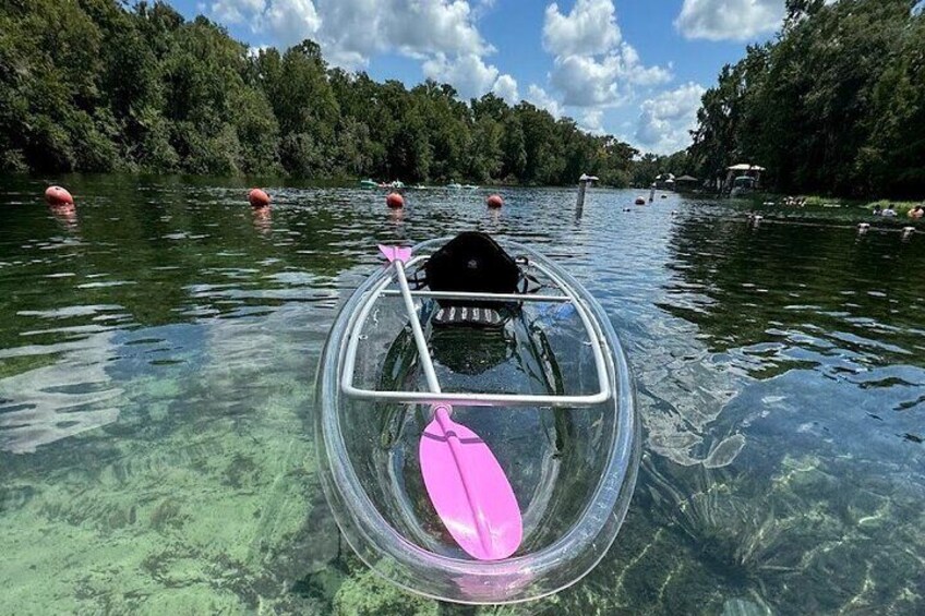 Our crystal clear kayaks.