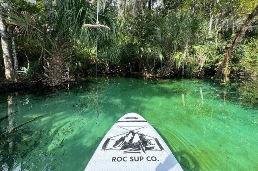 Private Crystal Clear 2 HR Kayak/Paddle Rental on Rainbow River